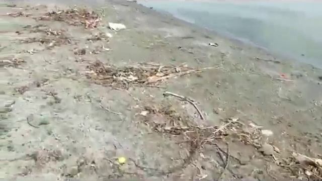 Dirty Lake of Lake Elsinore смотреть онлайн