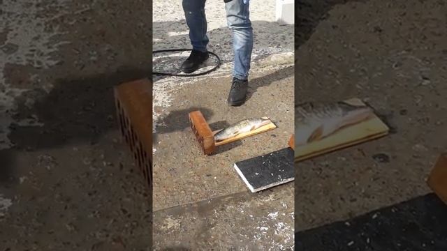 Лучший способ чистить рыбу смотреть онлайн