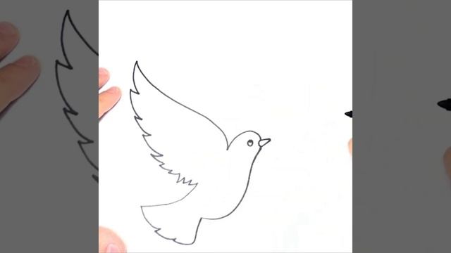 Как нарисовать голубя | Голубь мира смотреть онлайн