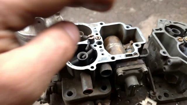 Солекс или Озон?