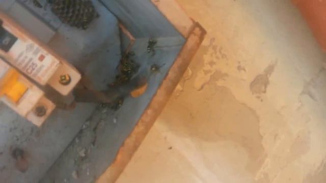 Ремонтная Мастерская