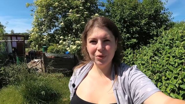 Нас обокрали! Что унесли? / Воровство в Германии / Дача в Германии / Огород смотреть онлайн