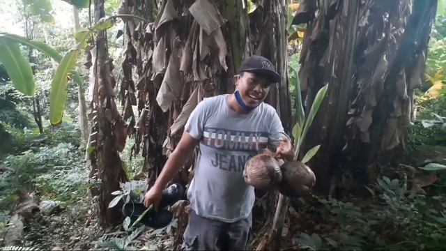 ka mangyan at ka work nya dumayo sa gubat смотреть онлайн