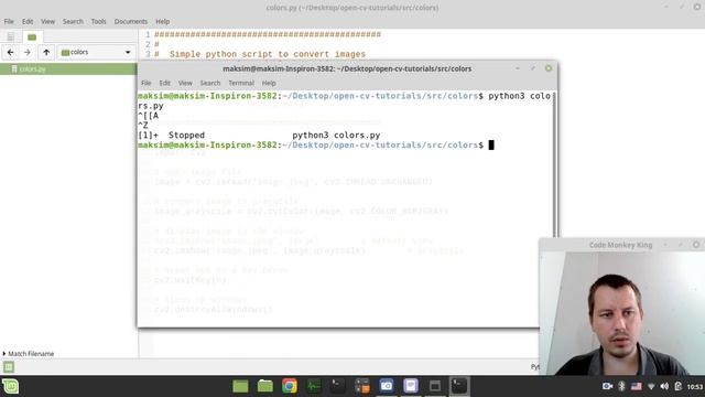 Convert An Image To Grayscale or Black And White using Python & OpenCV смотреть онлайн