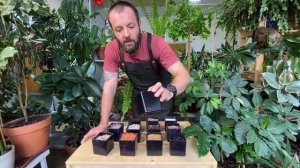 Про составляющие грунтов для комнатных растений