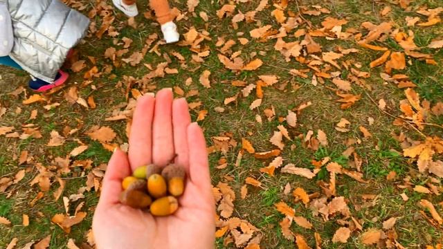 Играем на ДЕТСКОЙ ПЛОЩАДКЕ с девочками.МУЛЬТИКИ в КИНОТЕАТРЕ в гостинице Родина.Отдых в Сочи НОЯБРЬ смотреть онлайн