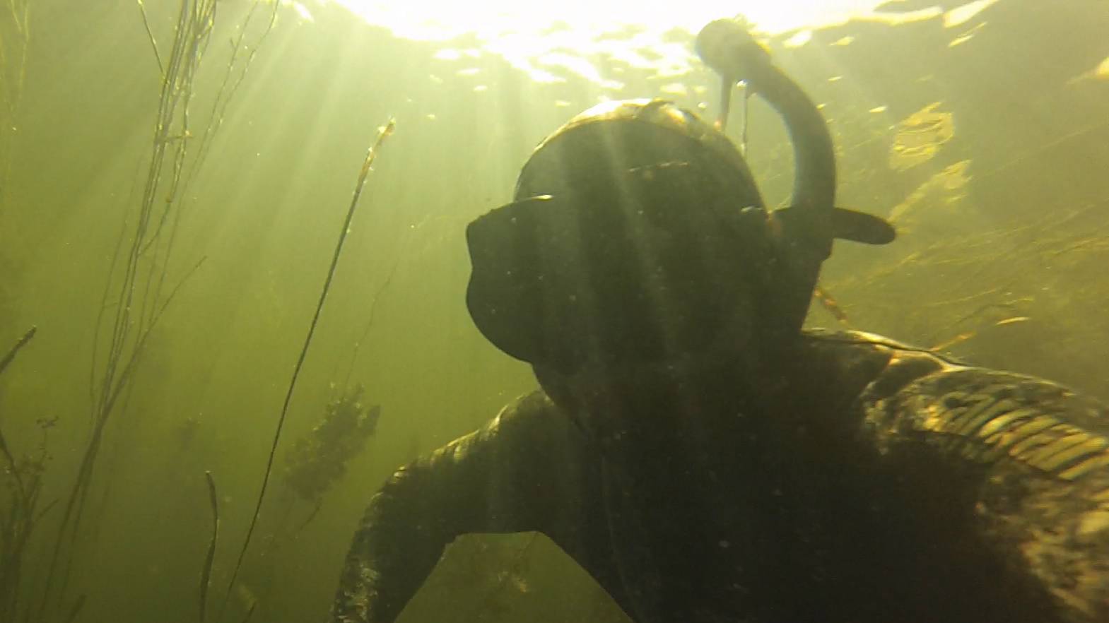 Подводная охота - река Сейм смотреть онлайн