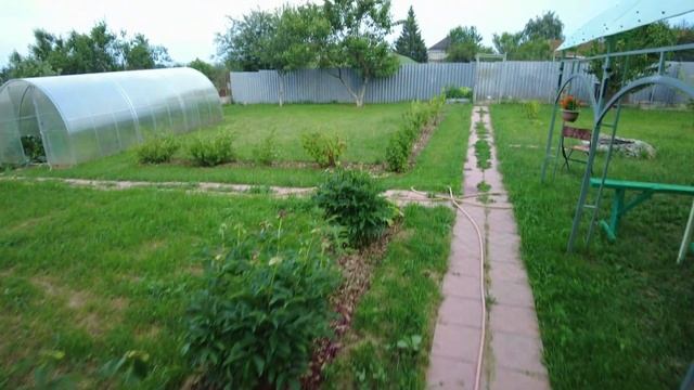 На всю улицу несёт газом!? Слизни атаковали теплицу и газону хана... смотреть онлайн