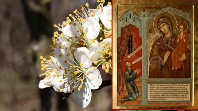 14 мая ДЕНЬ ИКОНЫ БОЖИЕЙ МАТЕРИ " НЕЧАЯННАЯ РАДОСТЬ " . народные традиции смотреть онлайн