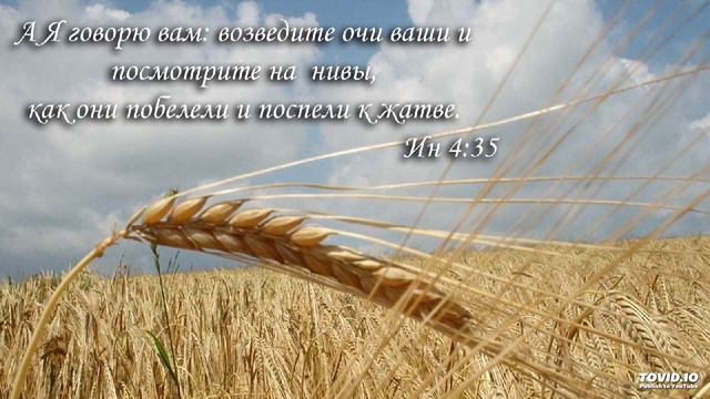 По равнине океана (старые,оцифровка) песнь возрождения №548 смотреть онлайн