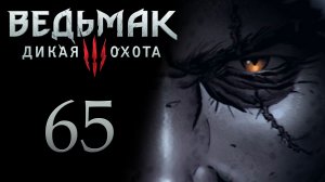 The Witcher 3 / Ведьмак 3 - В Новиград, ну почти - Прохождение игры на русском [#65] | PC (2017 г.)