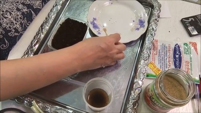 Посев семян. Примула махровая. смотреть онлайн