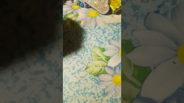 Мои вещи которые хочу продать.Часть 1