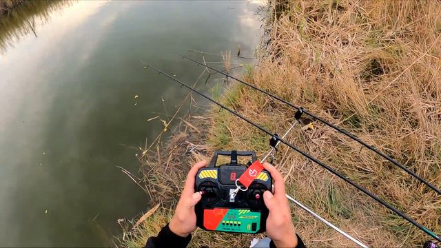 ДЕЛЬФИН В ТУМАНЕ вырулил с карпом с камыша смотреть онлайн