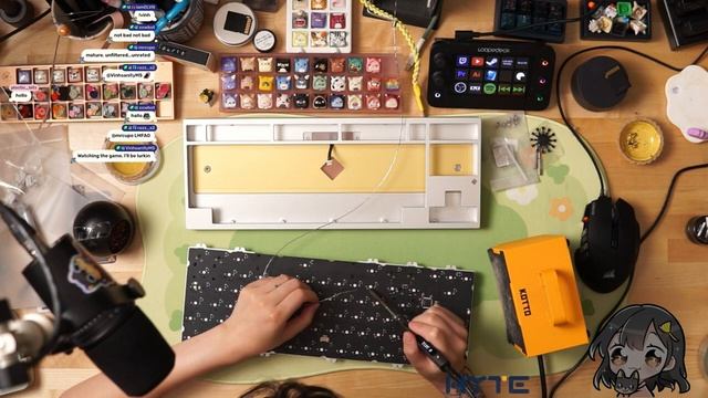 Ayleen TKL with Haze Switches Twitch VOD смотреть онлайн