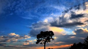 Даосская йога  Алхимия и бессмертие Лу Куань Юй, аудиокнига