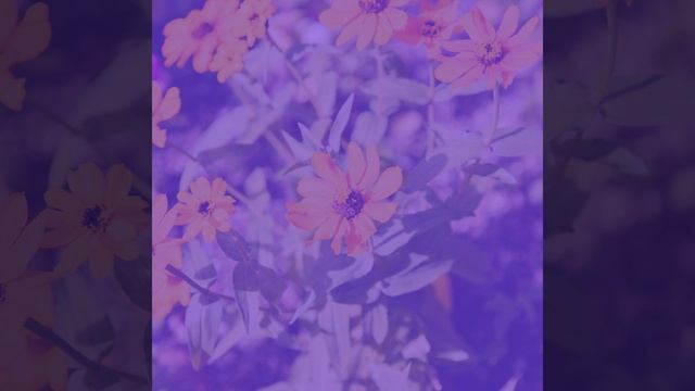 Звуки (Блокировки) смотреть онлайн