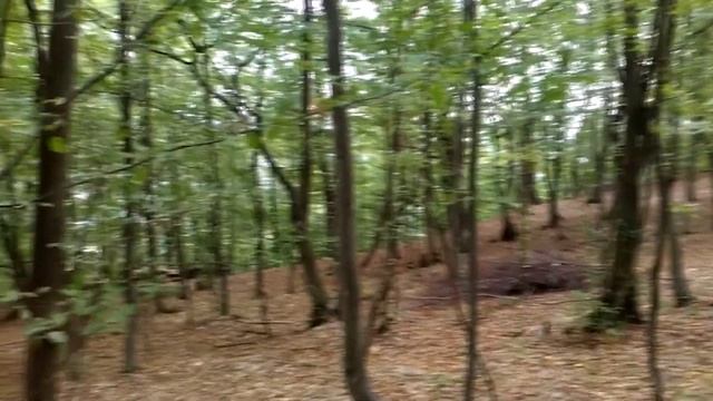 Семья самое ценное в жизни. Vlog Семейный пикник в Карпатах. смотреть онлайн