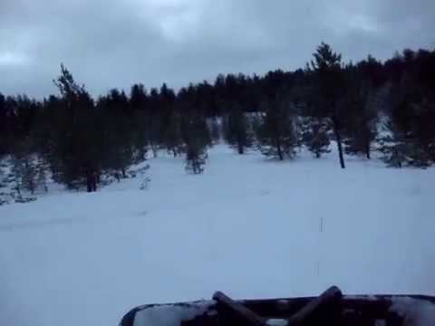 Барс смотреть онлайн
