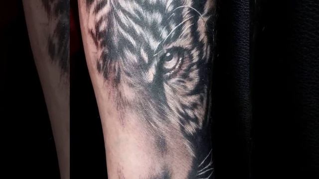 3D Татуировки (реализм) студия TATU в Минске смотреть онлайн