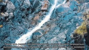 Как выбрать жемчуг во Вьетнаме: стоимость, магазины в Нячанге