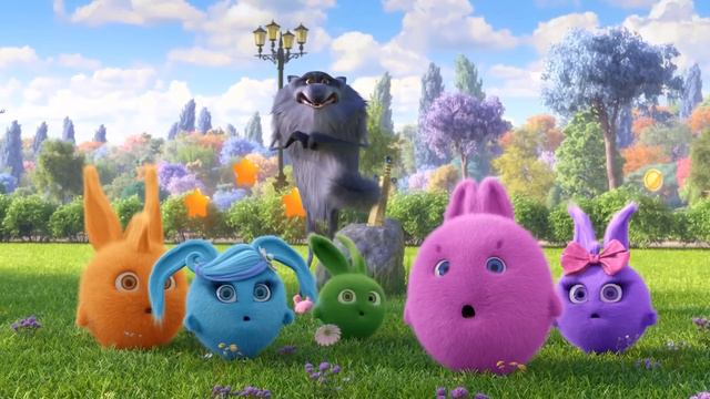 Sunny Bunnies | Roupas Coloridas | Desenhos Animados | WildBrain Em Português
