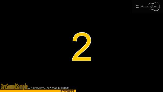 [어갤3VS사샘] 16. 시그마00M-1STSB, 헥스P-300, 테일러BT-1 블라인드 테스트!!! смотреть онлайн
