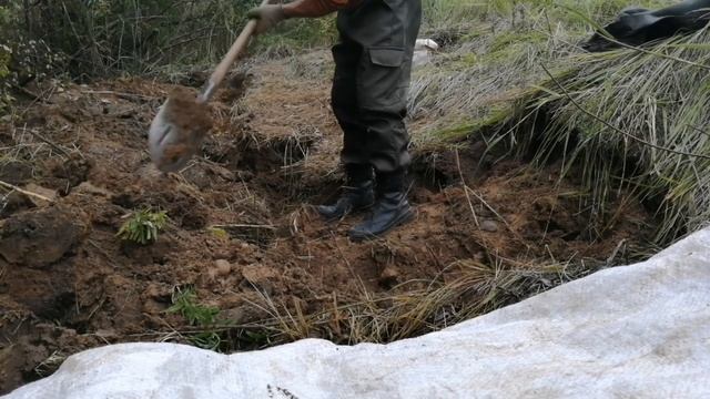 двух дневный коп смотреть онлайн