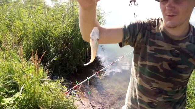 Fishing Kursk Рыбалка на Золоотвале смотреть онлайн