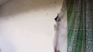 Пугают такие моменты  Мертвая деревня в лесах Калужской области.