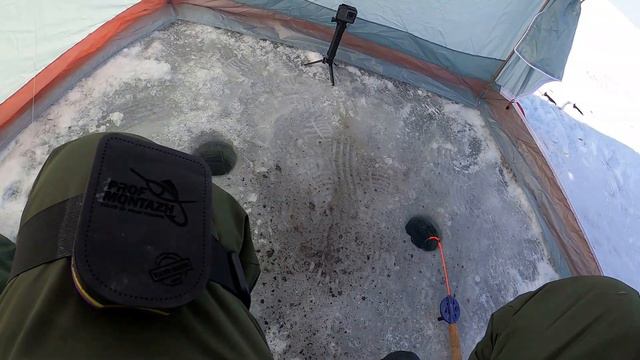 Попали на раздачу плотвы по середине водохранилища. смотреть онлайн