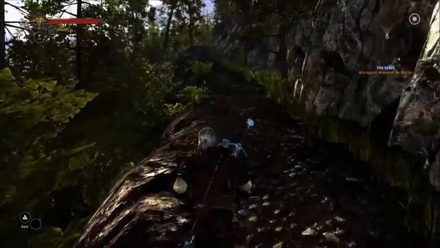 Witcher 2 Lykaon Alpha - Part 7 Birdman смотреть онлайн