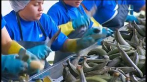 Как делают банановые чипсы