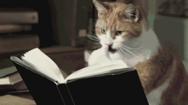 Антон Павлович Чехов - Палата номер № 6 - глава 1 - Anton Pavlovich Chekhov - Ward 6 - chapter 1