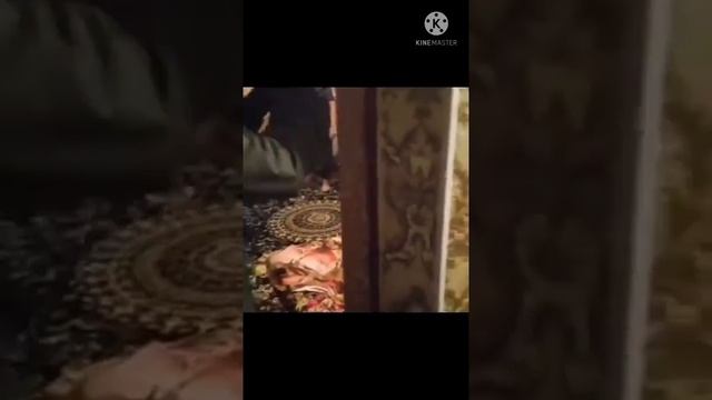 хиенати келини хона ба марди бегона
