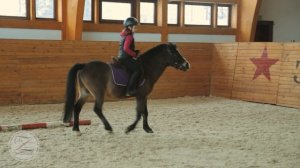 Тренировка Пони клуб КСК Звёздный. Тренер Георгий. Школа верховой езды для самых маленьких.