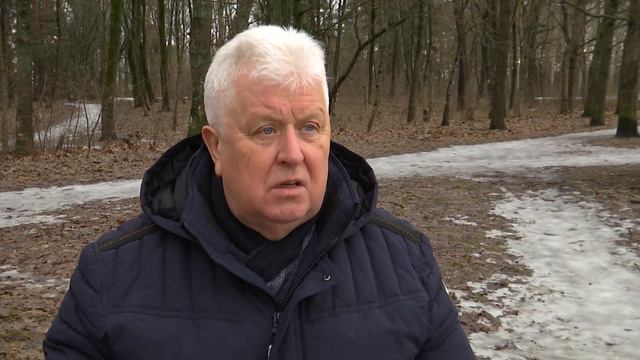 Как правильно собирать кленовый и берёзовый сок // Новости TV3 Plus смотреть онлайн