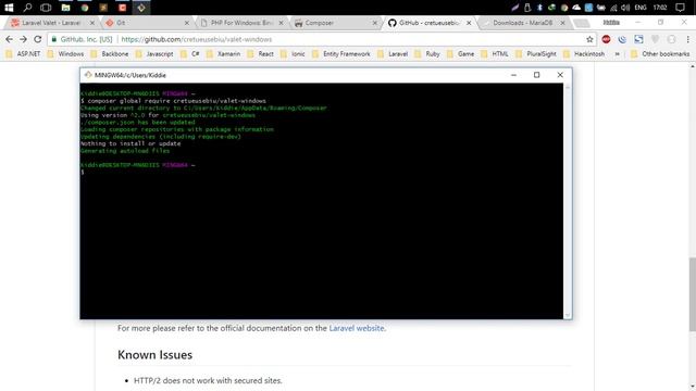 How To Install Laravel Valet on Windows 10,8,7 смотреть онлайн