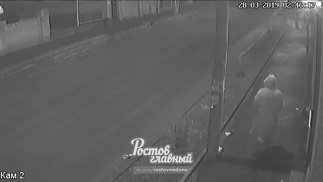 Женщина украла 3 туи на Профинтерна 31 28 3 2019 Ростов на Дону Главный смотреть онлайн