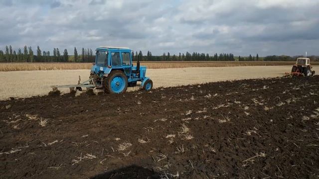 Пахота в три трактора. 2, МТЗ-80 И ЮМЗ-6 смотреть онлайн