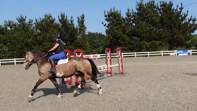 THIS PONY IS EPIC | Jumping Fun with Louie!! смотреть онлайн