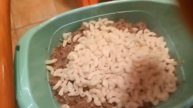 Как выживают собаки из приюта зимой. Что такое волонтерская каша и почему ее так любят собаки. смотреть онлайн