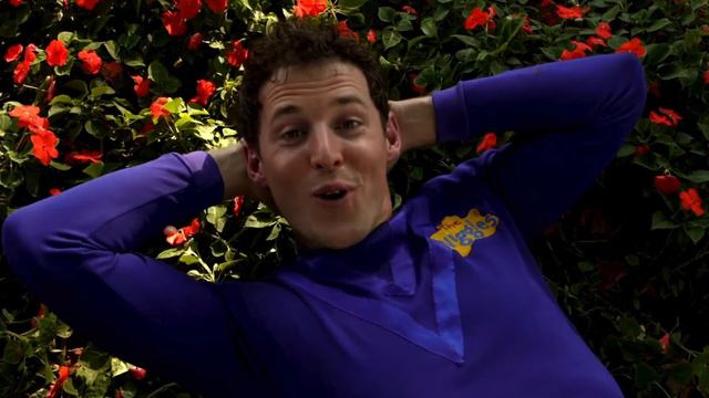 The Wiggles - Michael Finnegan (New & Tsehay) смотреть онлайн