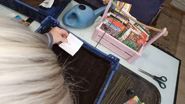 Сеем многолетники на 2023 год! Надо успеть! смотреть онлайн