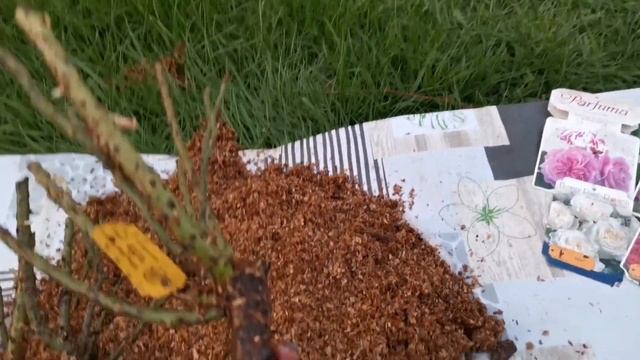 Очередные новинки!! Нам все мало-мало-мало!!! смотреть онлайн