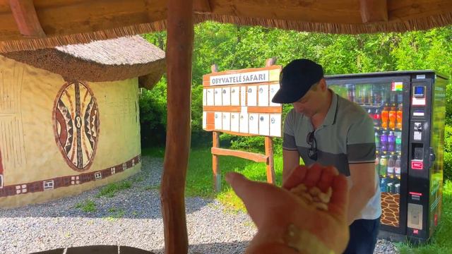 ZOO OSTRAVA | MAY 2023 смотреть онлайн