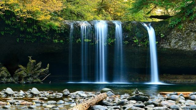 Волшебные звуки природы/пение птиц,/sounds for sleep, meditacion, relaxation. Слушать всем! смотреть онлайн