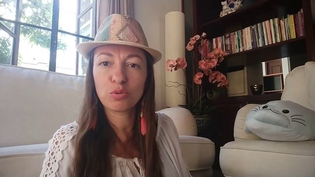 Предновогодние экзамены перед чудесами - Мария Соколова смотреть онлайн