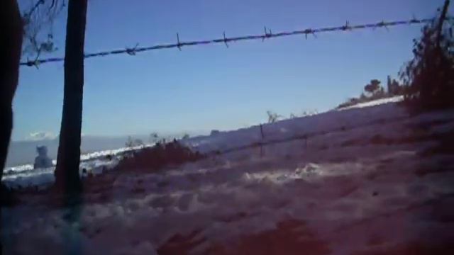 ПОЦЕЛУЙ ЛОШАДИ