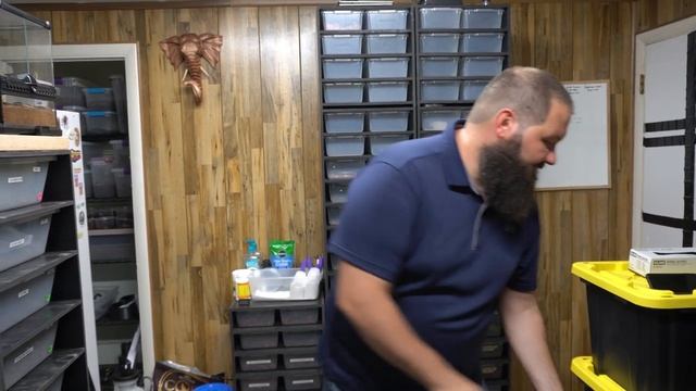 The Arroyo Ball Python Gene - And Weighing a Massive Ball Python! смотреть онлайн